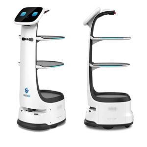 KEENON DINERBOT T8